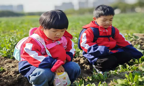 平湖实幼：赴一场春日之约